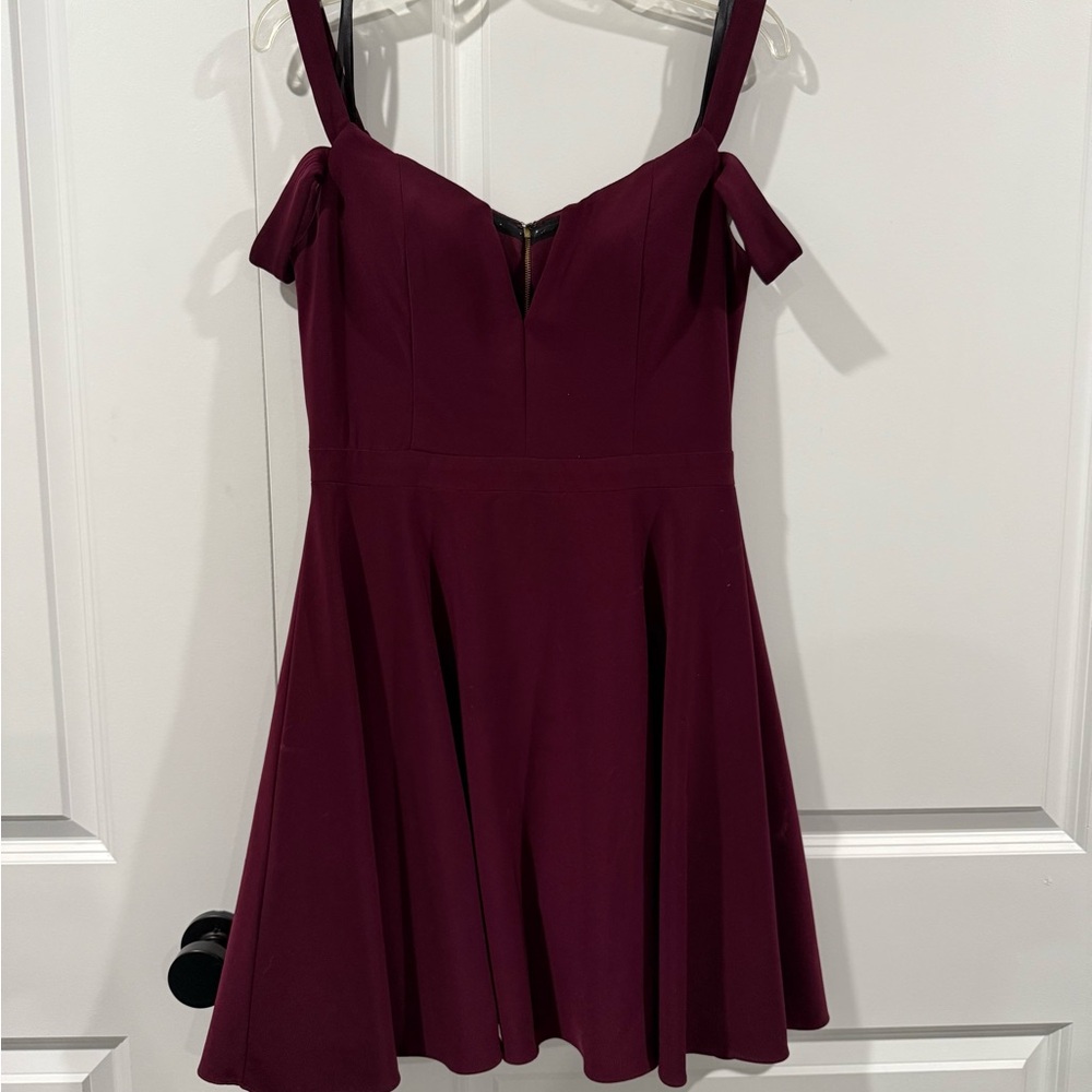 Aqua Deep Burgundy Mini Dress